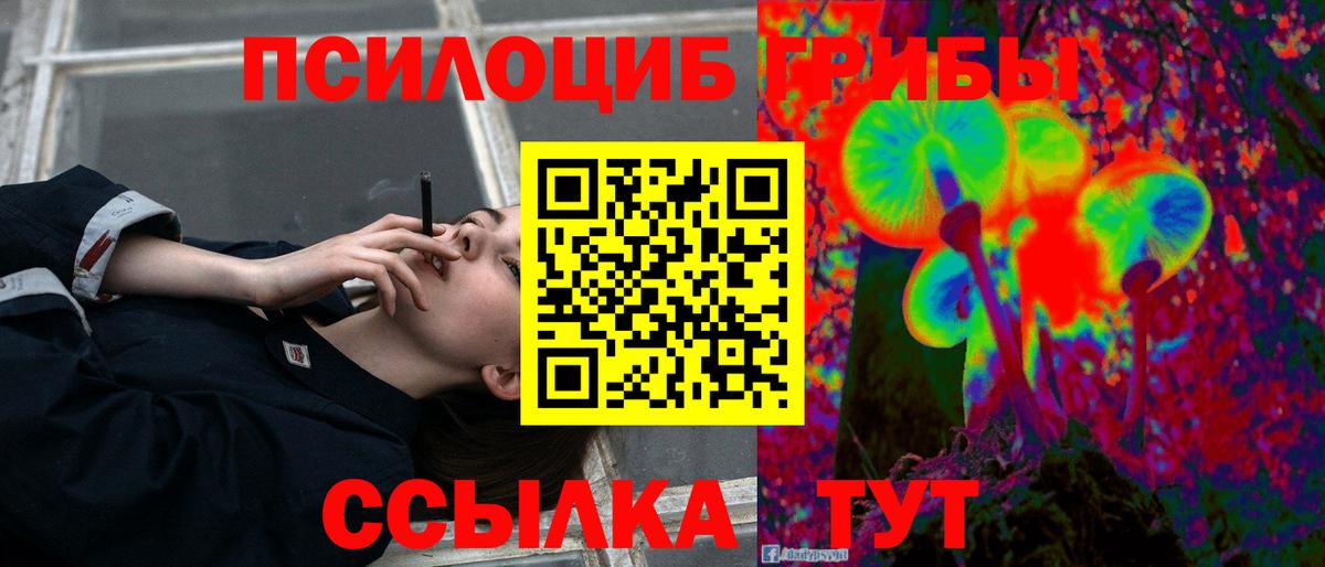 Мегион  Галлюциногенные грибы Psilocybine cubensis  Вход с VPN 
